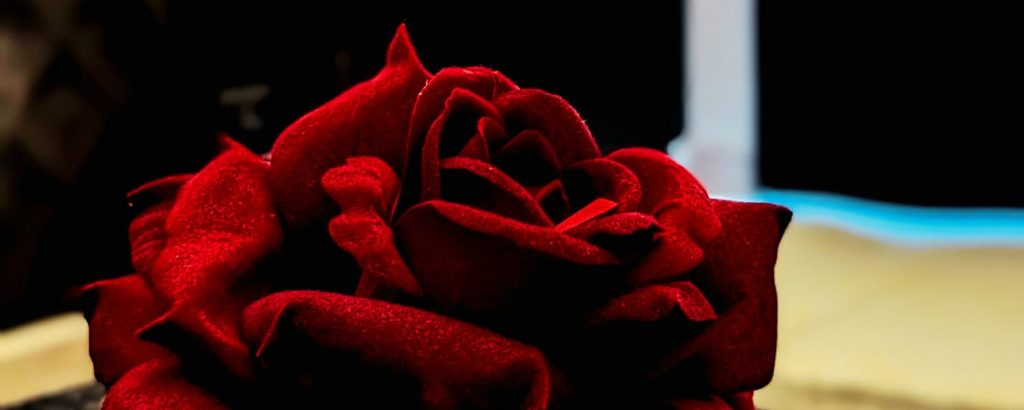 Détail de décoration : une belle rose rouge