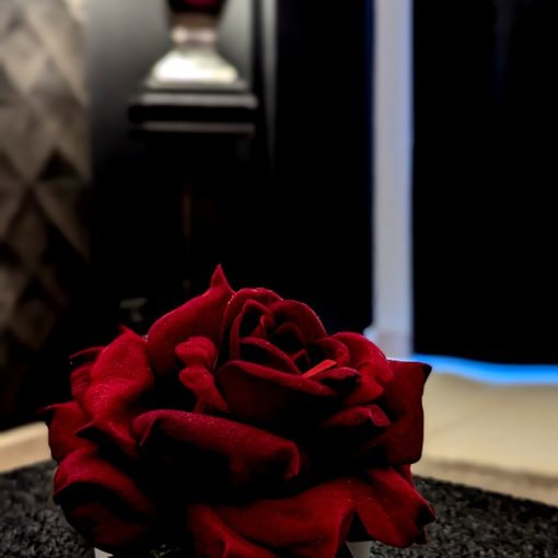 lumière tamisée avec une rose romantique
