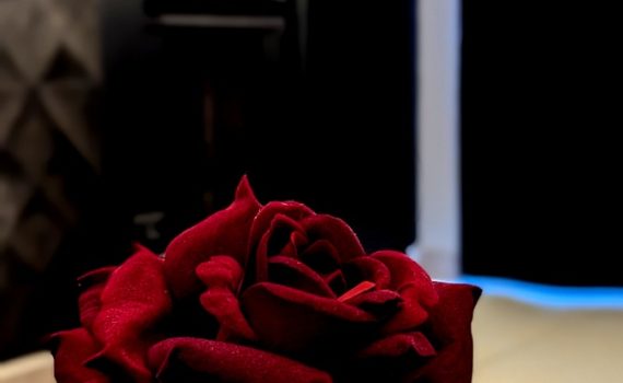 lumière tamisée avec une rose romantique
